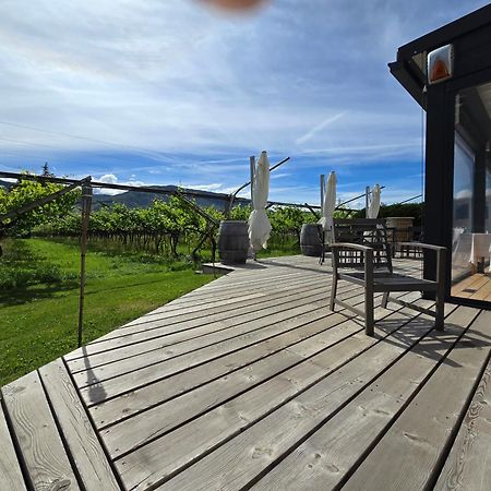 Вилла Antico Fienile Agritur Медзокорона Экстерьер фото