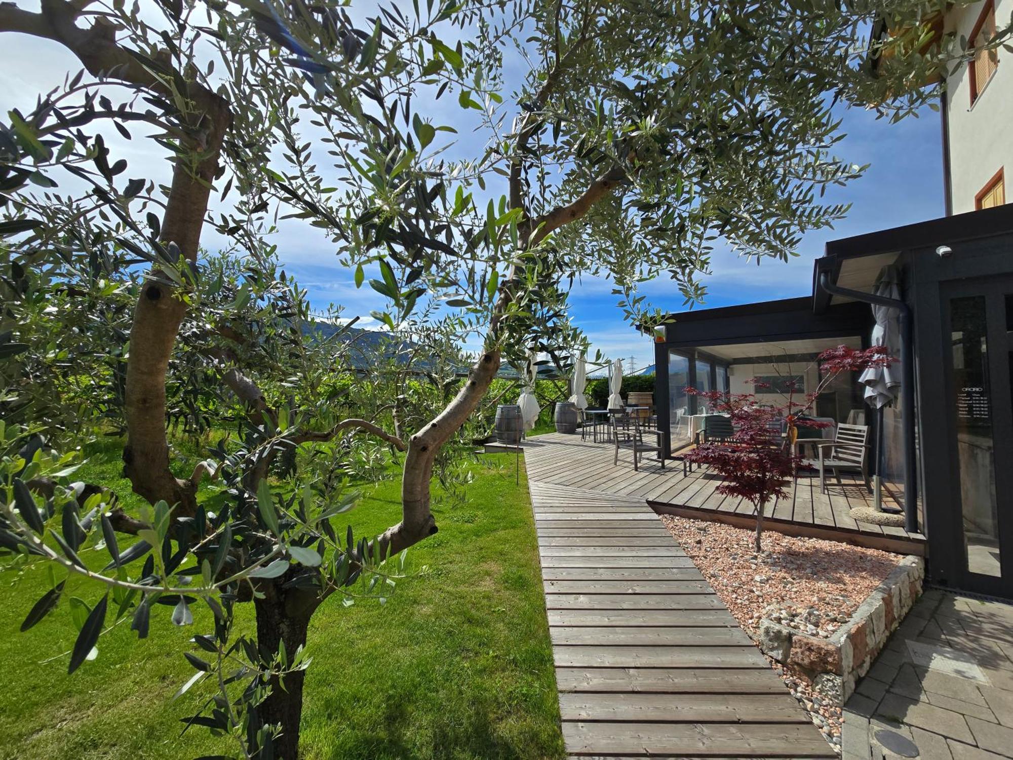 Вилла Antico Fienile Agritur Медзокорона Экстерьер фото