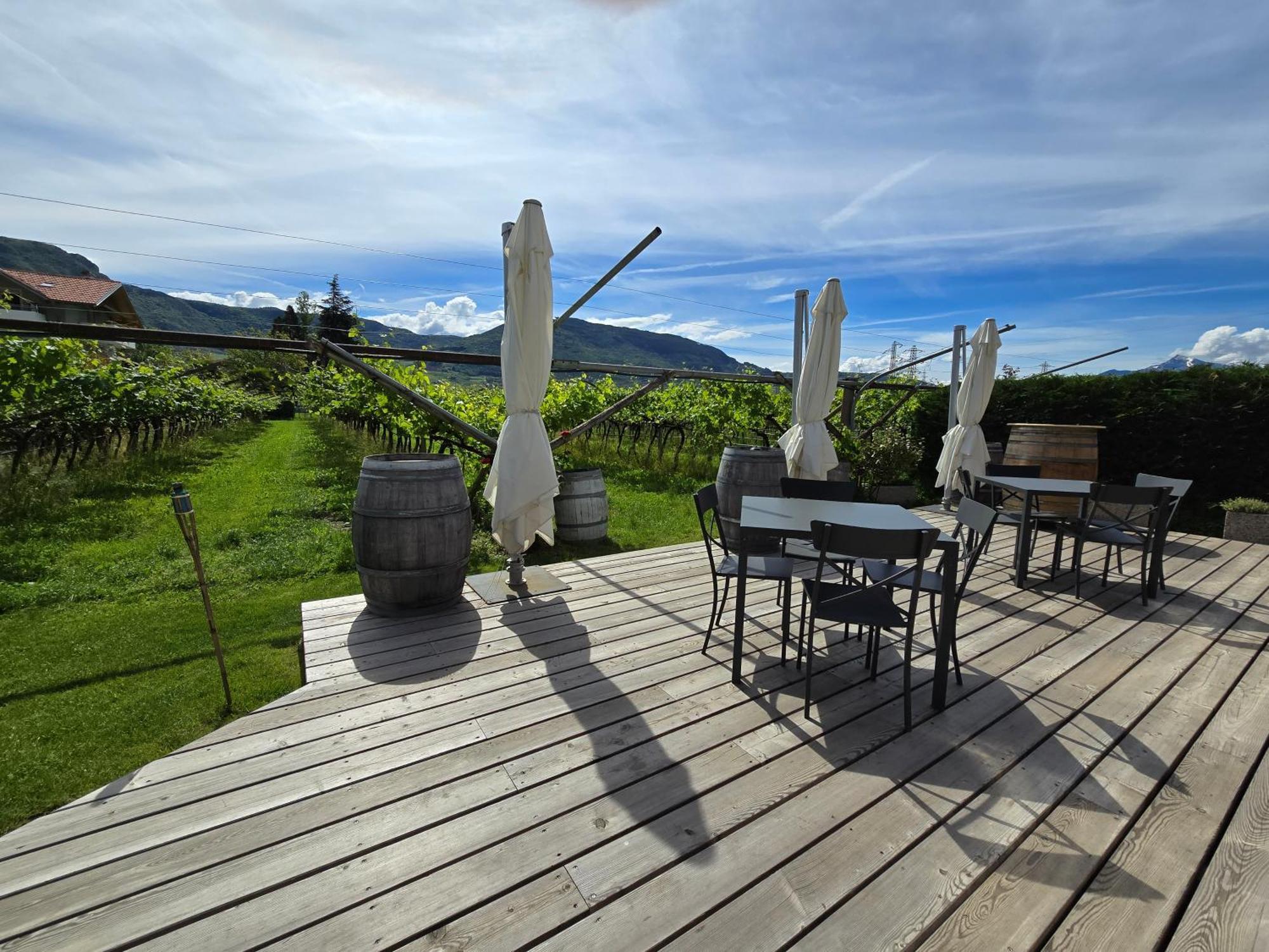 Вилла Antico Fienile Agritur Медзокорона Экстерьер фото