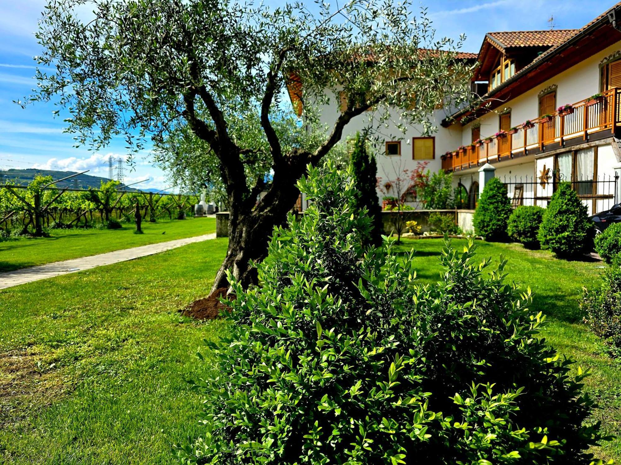 Вилла Antico Fienile Agritur Медзокорона Экстерьер фото