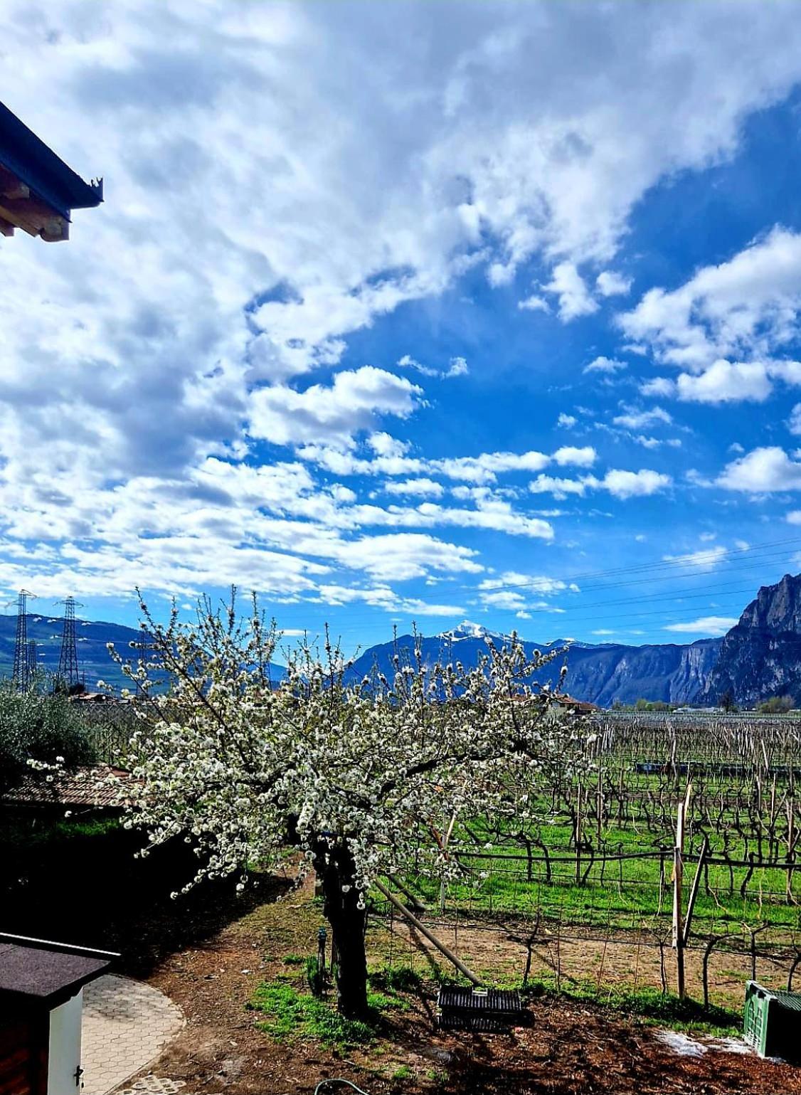 Вилла Antico Fienile Agritur Медзокорона Экстерьер фото